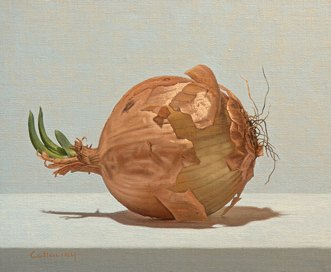 Sprouting Onion by Alex  Callaway